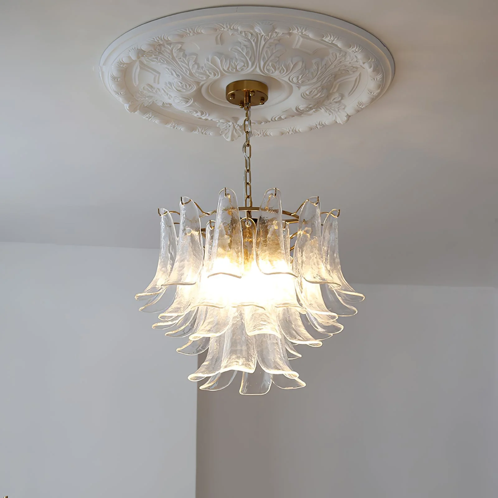 Murano Chandelier - Image 55